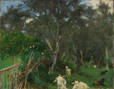 Olives, Corfu