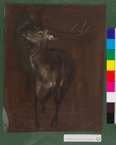 Ölstudie zu totem Hirsch
