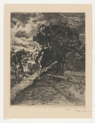 Omgevallen boom in een landschap