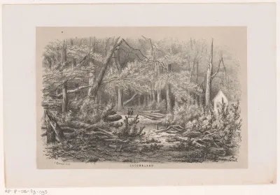 Omgewaaide bomen aan de Jacobalaan, na de storm van 28 mei 1860