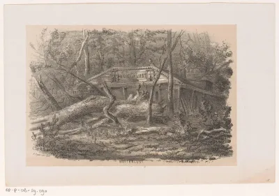 Omgewaaide boom bij Buitenlust, na de storm van 28 mei 1860