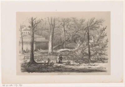 Omgewaaide boom bij de sociëteit, na de storm van 28 mei 1860