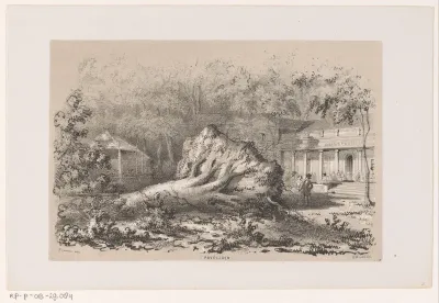 Omgewaaide boom bij het Paviljoen, na de storm van 28 mei 1860