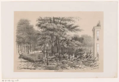 Omgewaaide boom bij Voorhout, na de storm van 28 mei 1860
