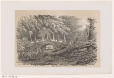 Omgewaaide boom in Bezuidenhout, na de storm van 28 mei 1860