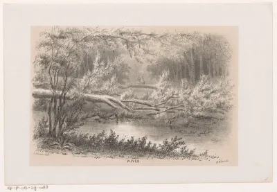 Omgewaaide boom, na de storm van 28 mei 1860