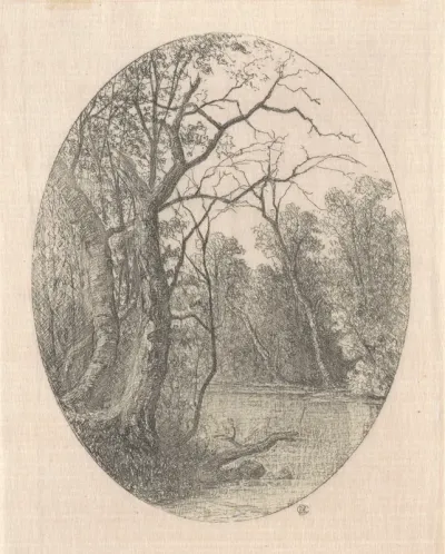 On Laurel Creek