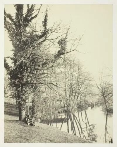 On the Mole