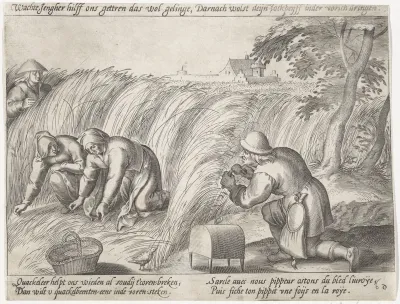 Onkruid wieden op het land