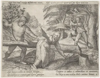 Ontginning van het bos