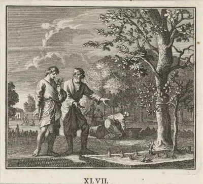 Ontspruiten van de plantenwereld in de lente