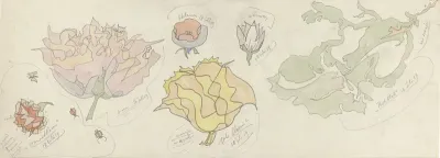 Ontwerp voor aardewerkdecoratie: granaatbloem, pioen, gele bloem en rotblad