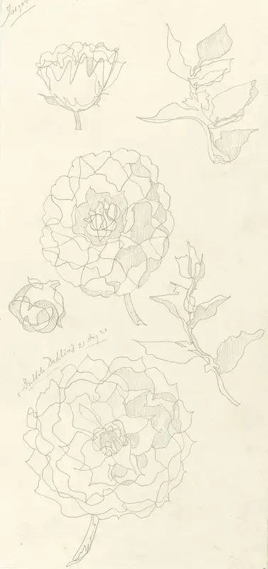 Ontwerp voor aardewerkdecoratie Iseger: Dubbele Dahlia's