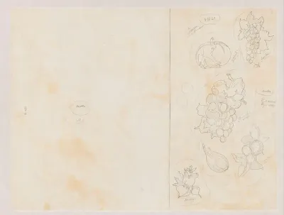 Ontwerpen voor aardewerkdecoratie: appel, druif, bessen, vijg, radijs en aardbeien