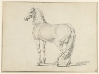 Ontzadeld paard, naar links
