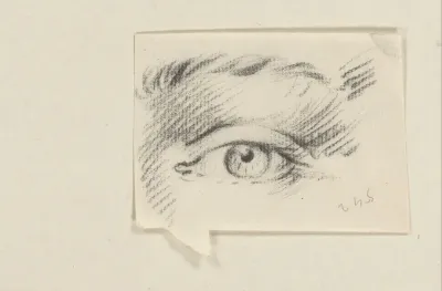 Oog