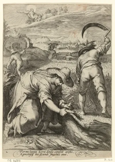 Oogstende boeren