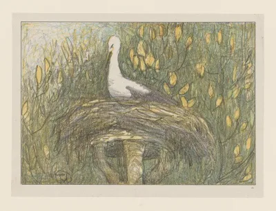 Ooievaar in nest