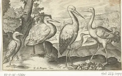Ooievaar, kraanvogel, reiger en lepelaar