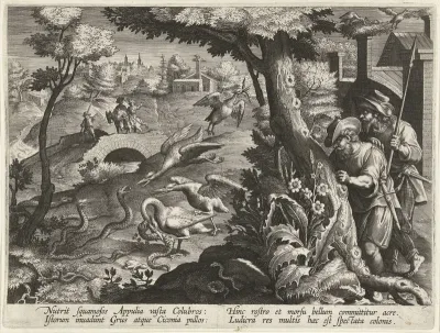 Ooievaars die slangen vangen