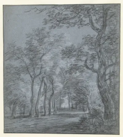 Open plek in het bos