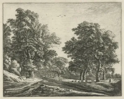 Open plek in het Haagse Bos