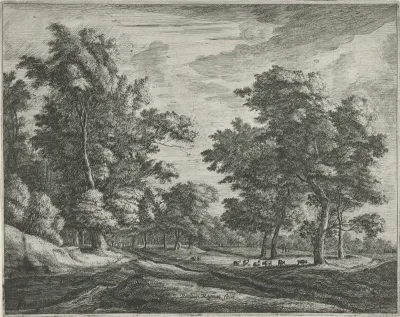 Open plek in het Haagse Bos