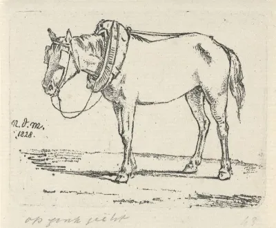 Opgetuigd paard