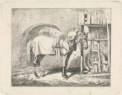 Opgetuigd paard aan een leidsel