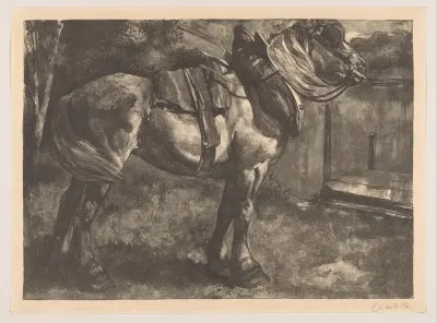 Opgetuigd paard op een oever