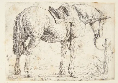 Opsadlet hest, tøjret ved en pæl