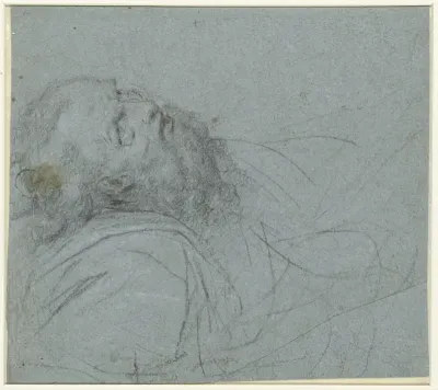 Opziende Petrus, voor de Transfiguratie