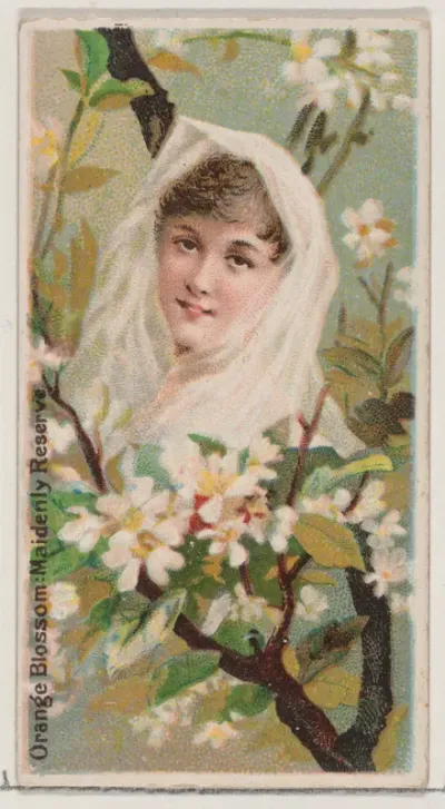 Orange Blossom: Maidenly Reserve, from the series Floral Beauties and Language of Flowers (N75) for Duke brand cigarettes
