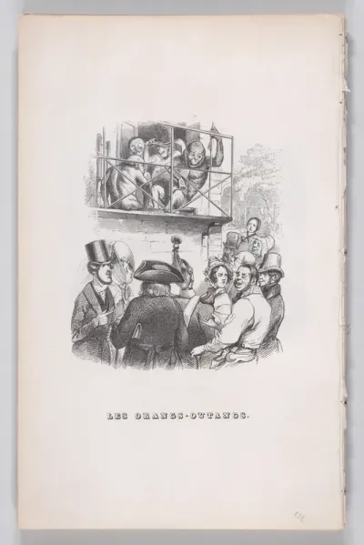 Orangutans, from "The Complete Works of Béranger"