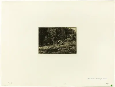 Orchard
