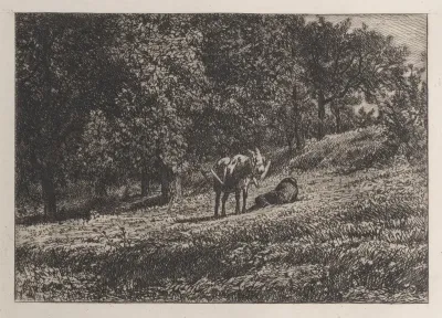 Orchard