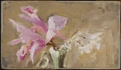 Orchid