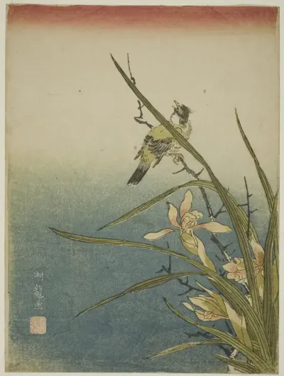Orchid and Bird