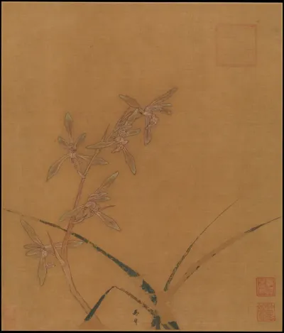 Orchids