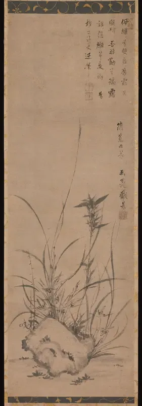 Orchids and Rock