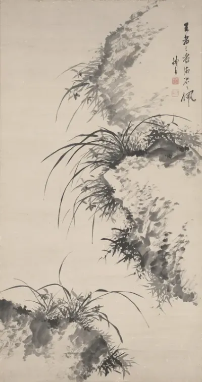 Orchids and Rocks