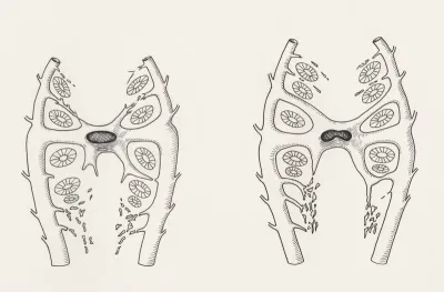 Organic tissue