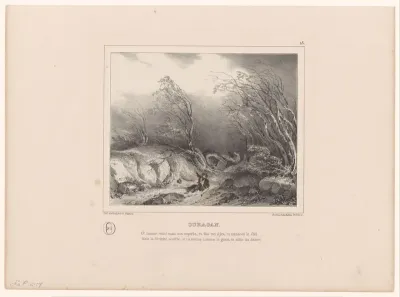 Orkaan