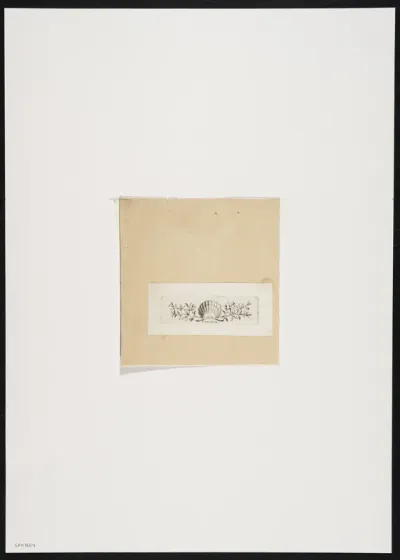 Ornamental leaf with shell and leaf motives