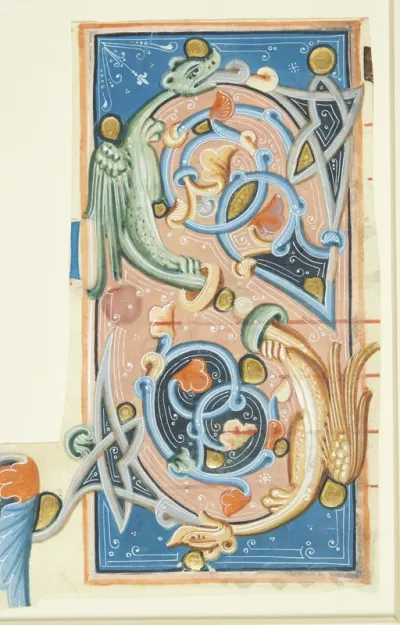 Ornamenteret initial S, hvis buer delvis består af to drager