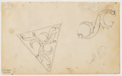 Ornamentstudier, løgplanter