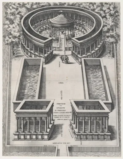 Ornithon Sive Aviarum, from "Speculum Romanae Magnificentiae"