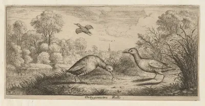 Ortygometra, Ralle (The Rail), from "Livre d'Oyseaux" (Book of Birds)