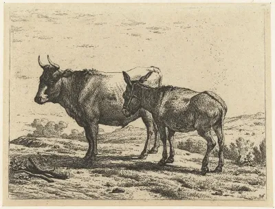 Os en een ezel