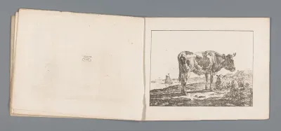 Os en schaap